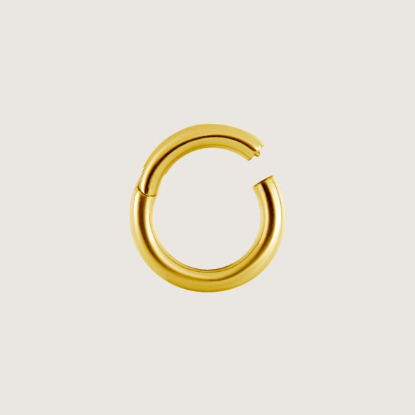 BG-BHSR (Hinged segment rings) - Imagen 2