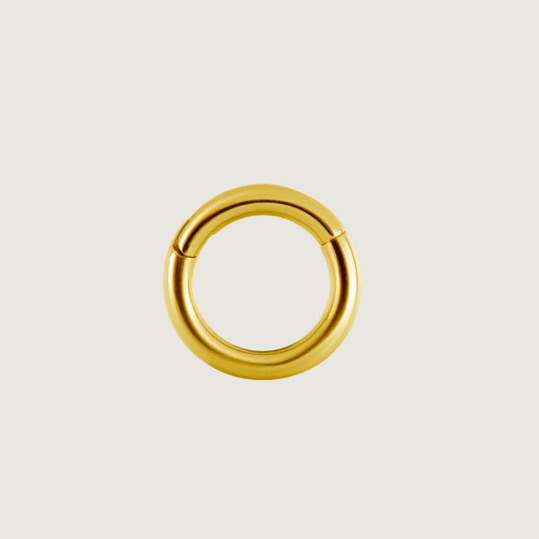 BG-BHSR (Hinged segment rings)