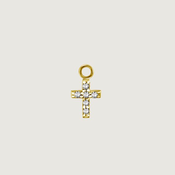 BG-BHSR-CHARM-14 (Charms for hinged segment rings)