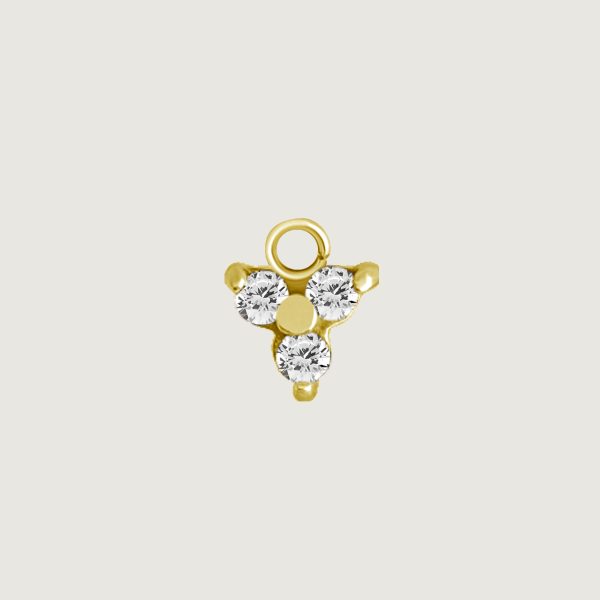 BG-BHSR-CHARM-17 (Charms for hinged segment rings)