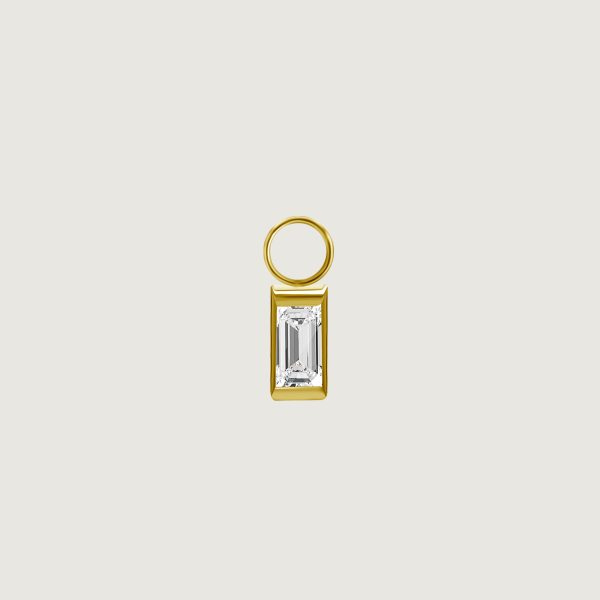 BG-BHSR-CHARM-23 (Charms for hinged segment rings)