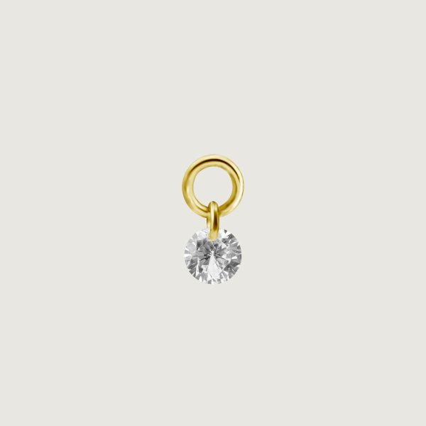 BG-BHSR-CHARM-28 (Charms for hinged segment rings)