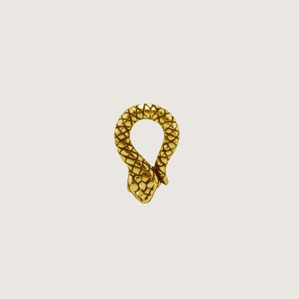 BG-BHSR-CHARM-43 (Charms for hinged segment rings)