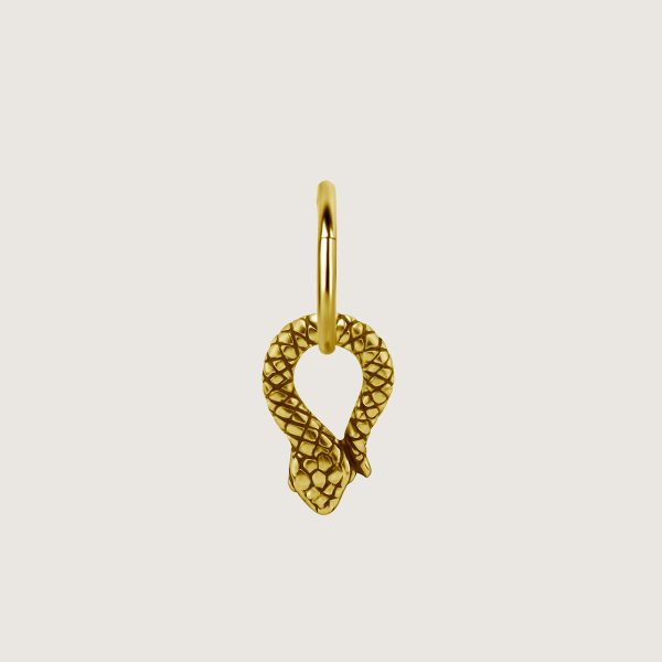 BG-BHSR-CHARM-43 (Charms for hinged segment rings) - Imagen 2