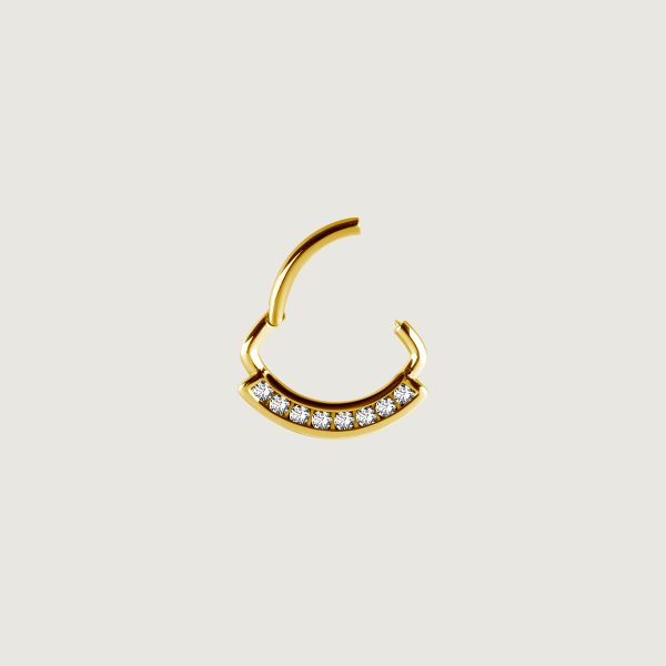 BG-JSDSG-01 (Hinged septum) - Imagen 2