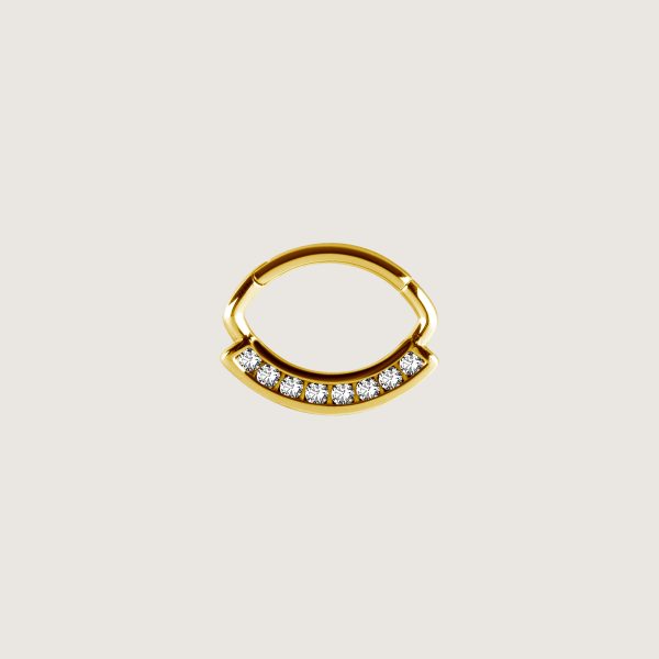 BG-JSDSG-01 (Hinged septum)