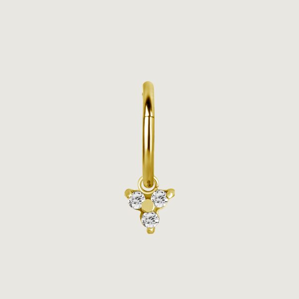BG-BHSR-CHARM-17 (Charms for hinged segment rings) - Imagen 2