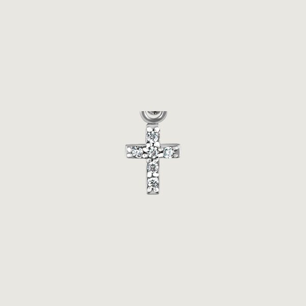 BHSR-CHARM-14 (Charms for hinged segment rings)