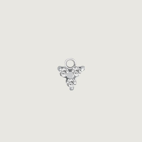 BHSR-CHARM-17 (Charms for hinged segment rings)