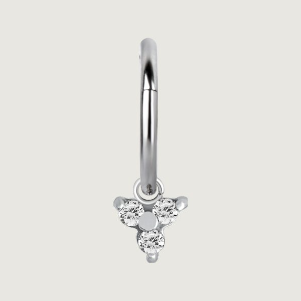 BHSR-CHARM-17 (Charms for hinged segment rings) - Imagen 2