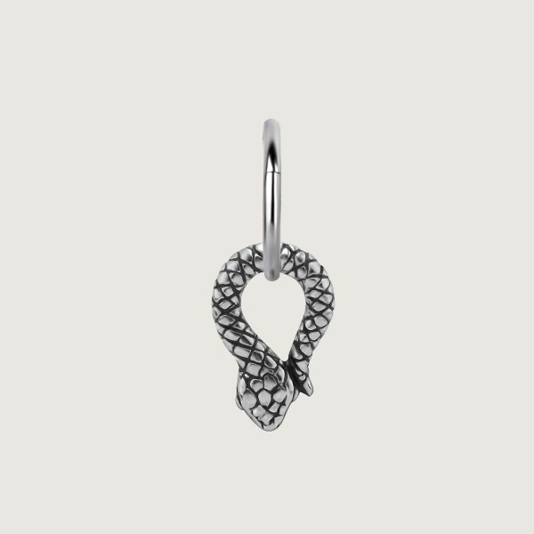 BHSR-CHARM-43 (Charms for hinged segment rings) - Imagen 2