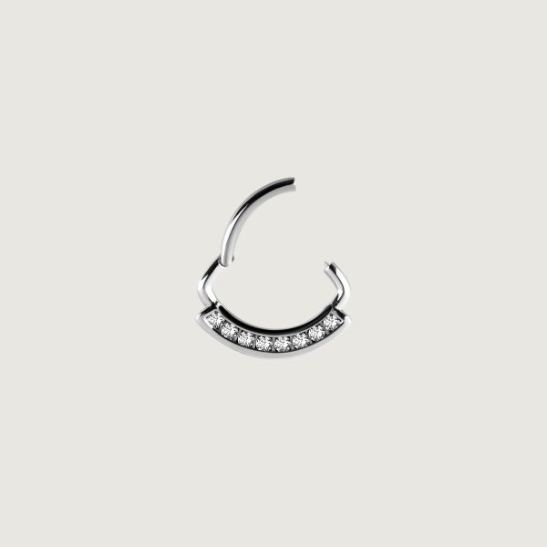 JSDSG-01 (Hinged septum) - Imagen 2