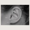 BG-BILN-42 (Micro barbells one side internally threaded) - Imagen 4