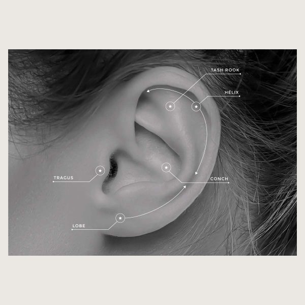 BG-BILNZ-52 (Micro barbells set w.cubic zirconia) - Imagen 4