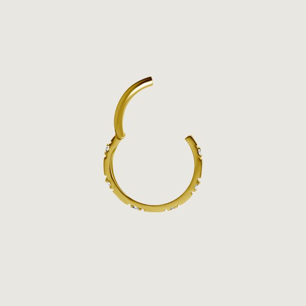 BG-BHCRSG-34 (Hinged conch ring clickers set w.premium zirconia) - Imagen 2