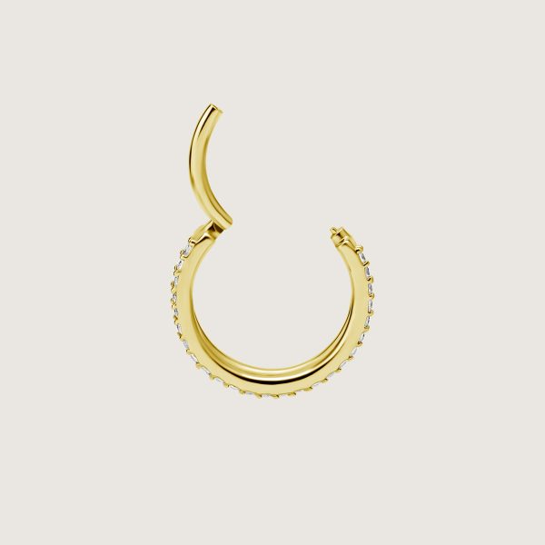BG-BHCRSG-48 (Hinged conch ring clickers set w.premium zirconia) - Imagen 2