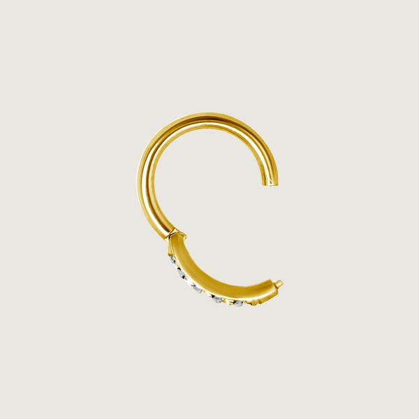 BG-BHSRSG-01 (Hinged nose rings set w.premium zirconia) - Imagen 2