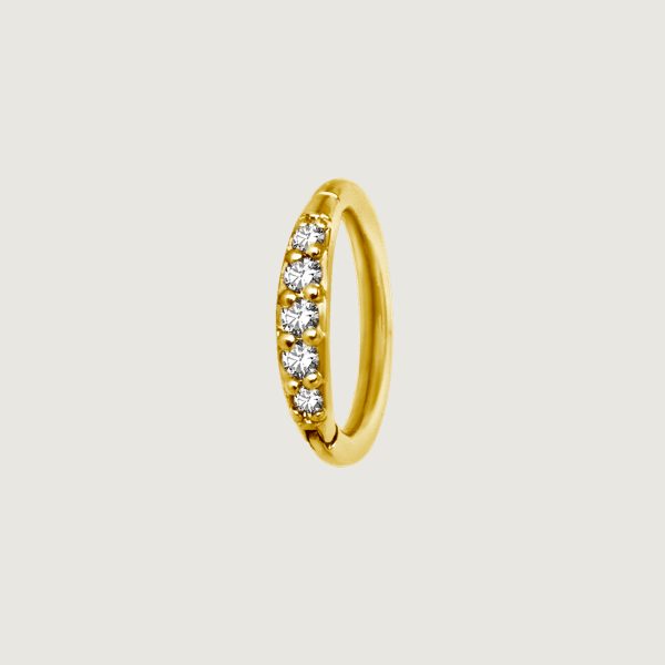 BG-BHSRSG-01 (Hinged nose rings set w.premium zirconia)