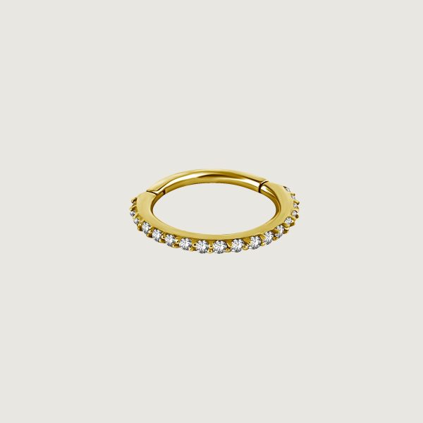 BG-BHSRSG-03 (Hinged nose rings set w.premium zirconia)