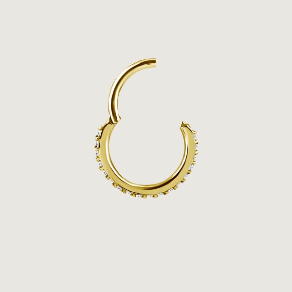 BG-BHSRSG-03 (Hinged nose rings set w.premium zirconia) - Imagen 2