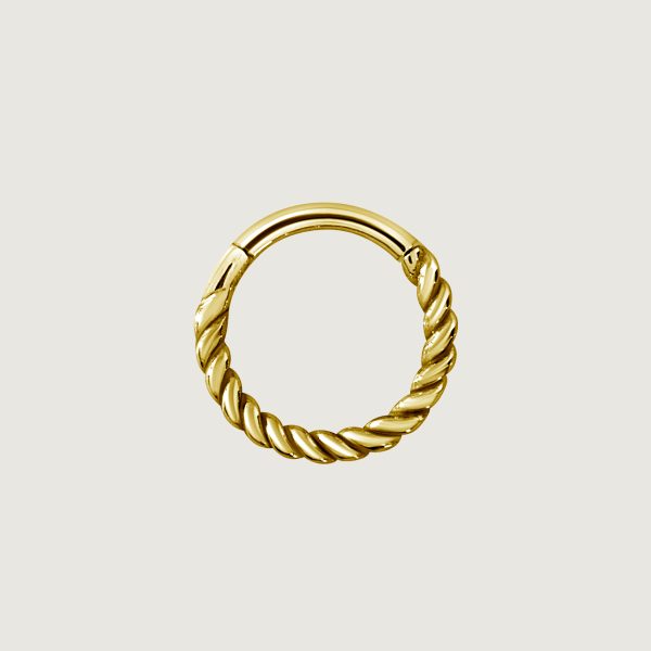 BG-BHSRX-04-18GA (Plain hinged nose rings)