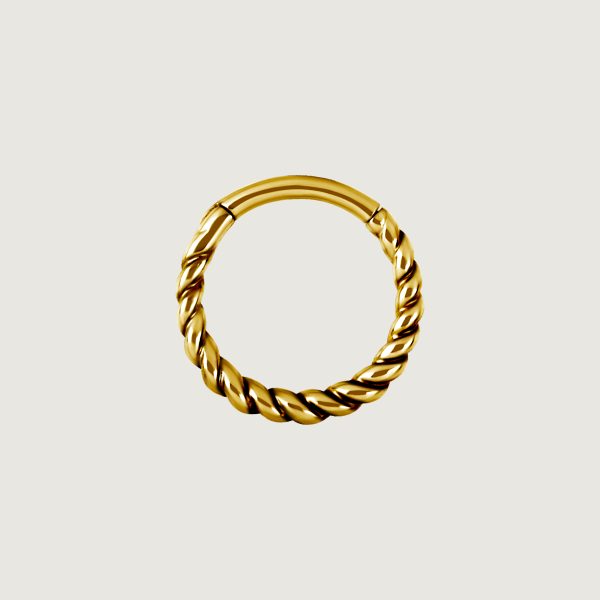 BG-BHSRX-10 (Hinged rings)