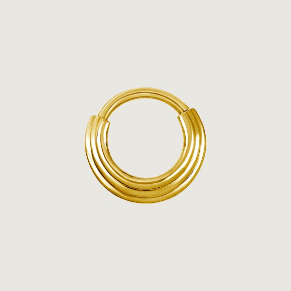 BG-BHSRX-13 (Hinged septum triple rings)