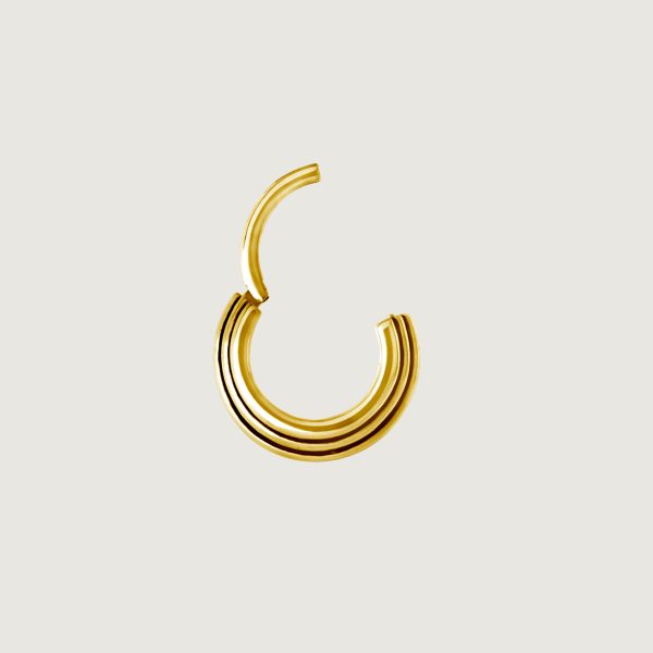BG-BHSRX-13 (Hinged septum triple rings) - Imagen 2