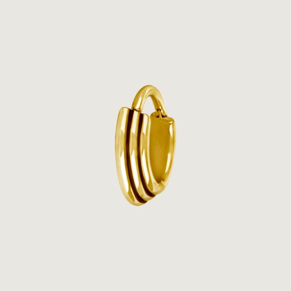 BG-BHSRX-13 (Hinged septum triple rings) - Imagen 3