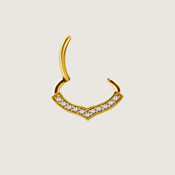 BG-JSDSG-07 (Hinged septum) - Imagen 2