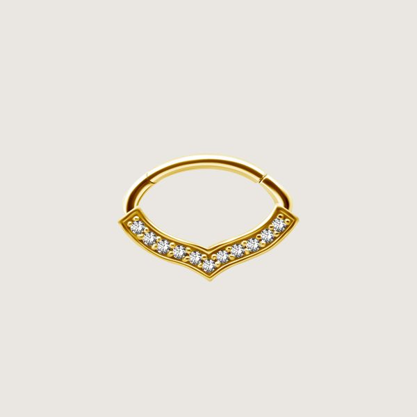 BG-JSDSG-07 (Hinged septum)