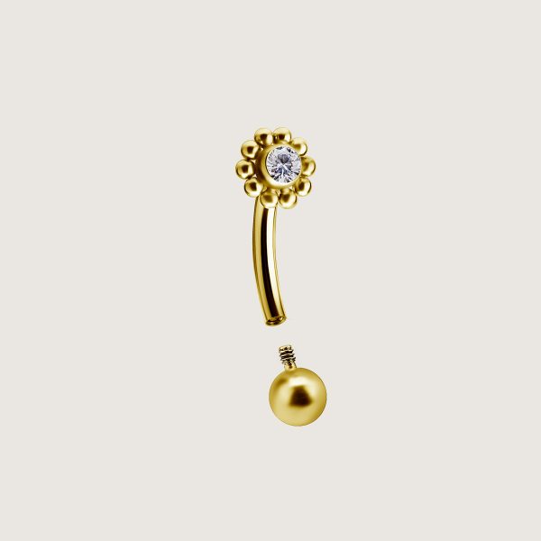 BG-TIEBSGN-03 (Rook and eyebrow micro bananas) - Imagen 2