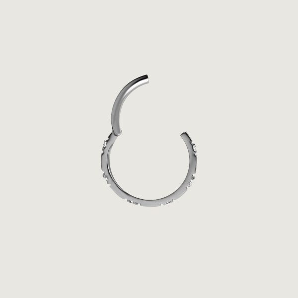 BHCRSG-34 (Hinged conch ring clickers set w.premium zirconia) - Imagen 2
