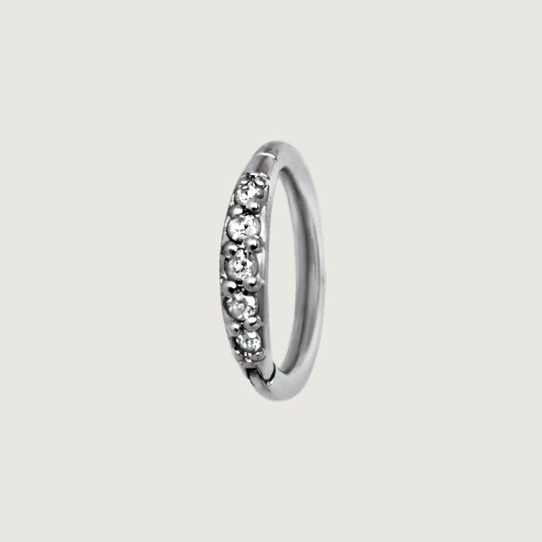 BHSRSG-01 (Hinged nose rings set w.premium zirconia)