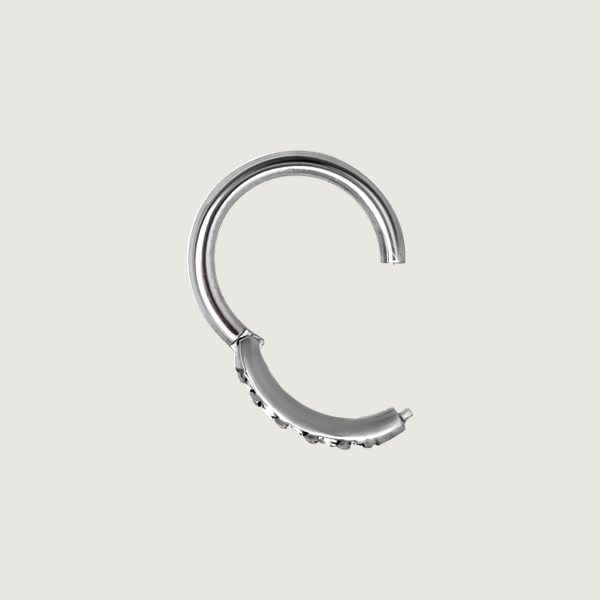 BHSRSG-01 (Hinged nose rings set w.premium zirconia) - Imagen 2