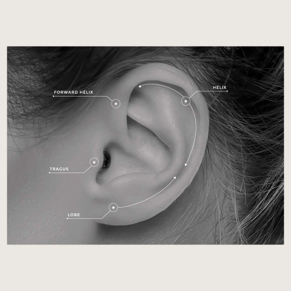 BHSRSG-01 (Hinged nose rings set w.premium zirconia) - Imagen 3