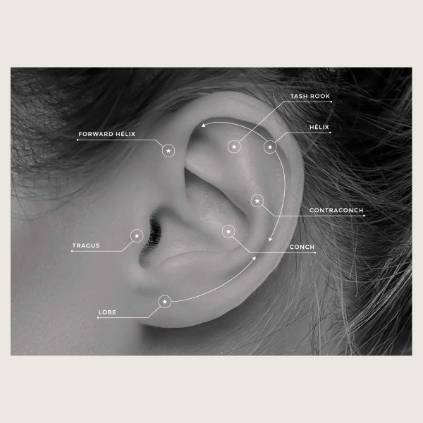 BILN-30 (Micro barbells one side internally threaded) - Imagen 4