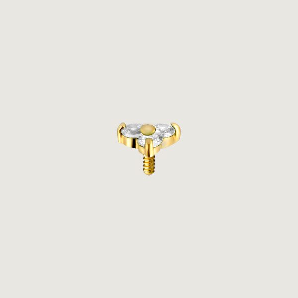 G18K-IAJN-09 - Imagen 2
