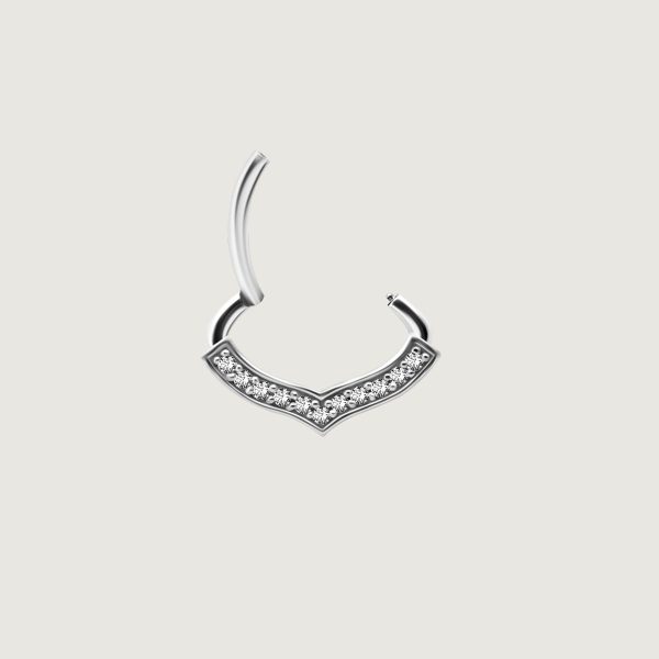 JSDSG-07 (Hinged septum) - Imagen 2