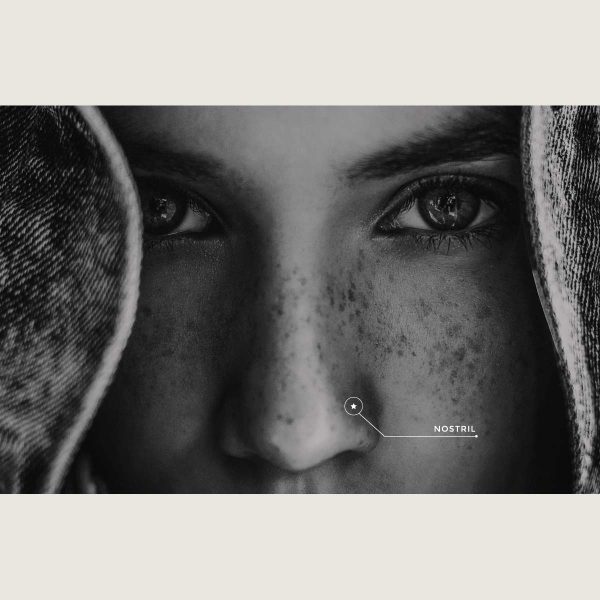 BHSRSG-01 (Hinged nose rings set w.premium zirconia) - Imagen 4