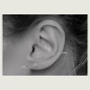 BG-BHCRSG-48 (Hinged conch ring clickers set w.premium zirconia) - Imagen 4