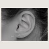 BHSRX-04-18GA (Plain hinged nose rings) - Imagen 3