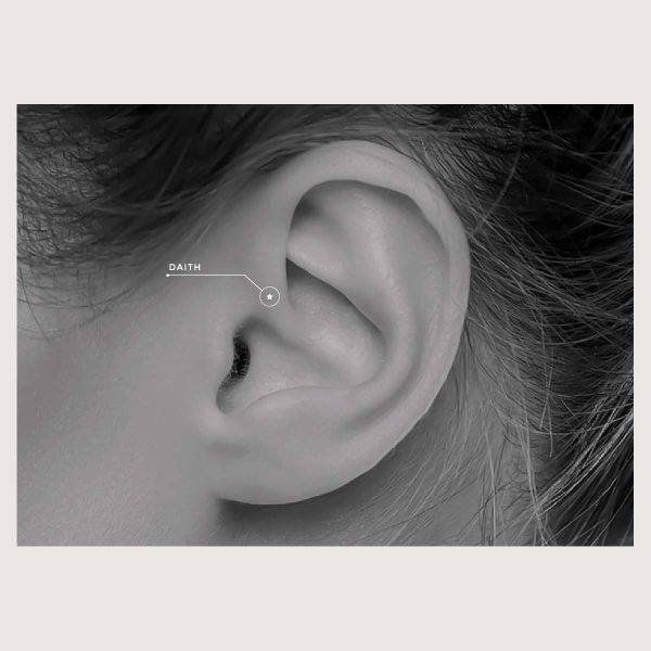 BG-JSDSG-01 (Hinged septum) - Imagen 4