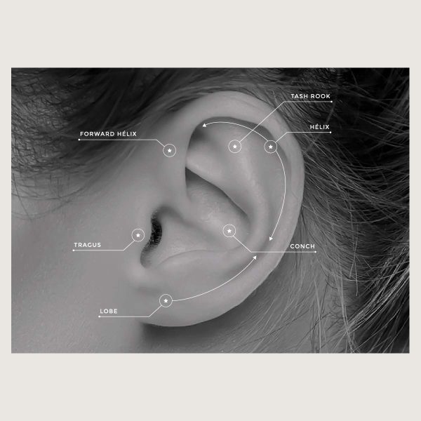 G18K-IASGN-01 - Imagen 5