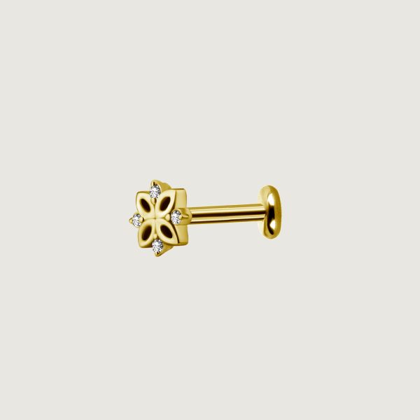 BG-BILNSG-21L (Micro barbells set w.premium zirconia) - Imagen 3