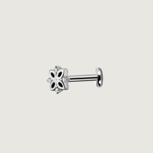 BILNSG-21L (Micro barbells set w.premium zirconia) - Imagen 3