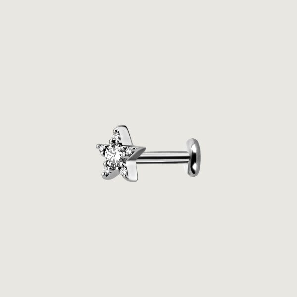 BILNSG-44L (Micro barbells set w.premium zirconia) - Imagen 3