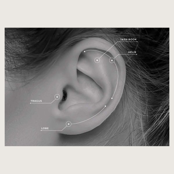 BG-BILNSG-44L (Micro barbells set w.premium zirconia) - Imagen 4