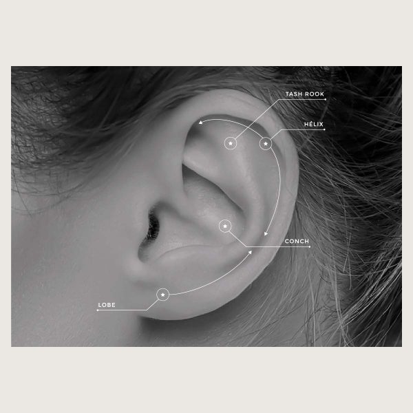 BG-BILN-34L (Micro barbells one side internally threaded) - Imagen 4